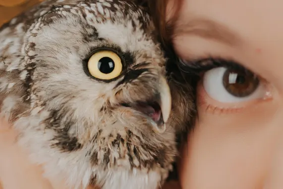 MatchUp Casino Support